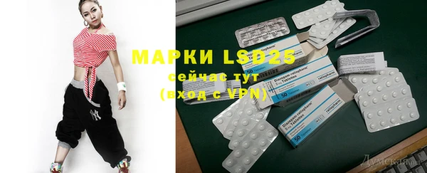 ГАЛЛЮЦИНОГЕННЫЕ ГРИБЫ Болотное