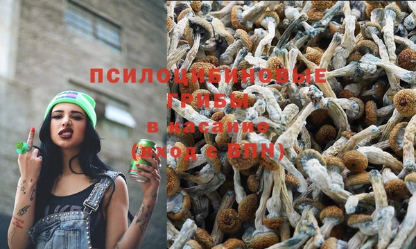 Альфа ПВП Нея