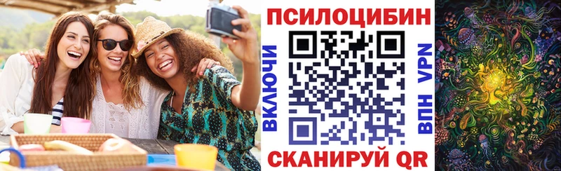 Галлюциногенные грибы Psilocybine cubensis  Алдан 